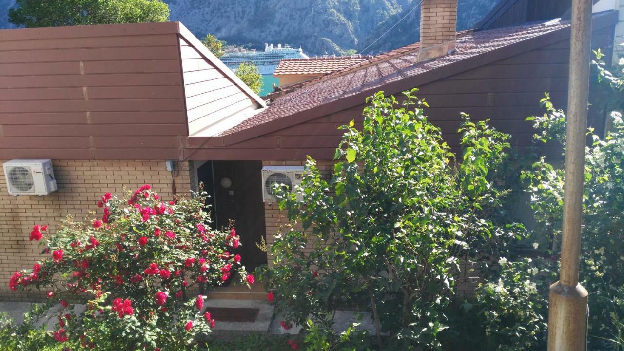 Sofi Apartment Kotor Bagian luar foto